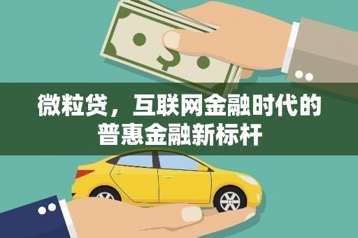 洪雅微粒贷，互联网金融时代的普惠金融新标杆