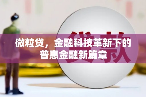 洪雅微粒贷，金融科技革新下的普惠金融新篇章