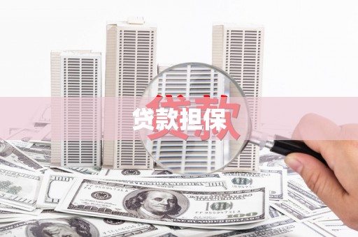 洪雅贷款担保