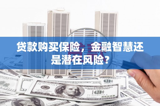 洪雅贷款购买保险，金融智慧还是潜在风险？