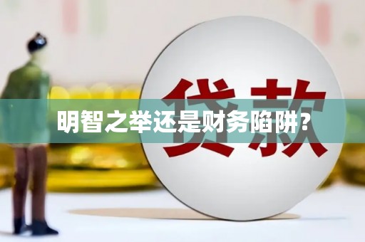 洪雅明智之举还是财务陷阱？