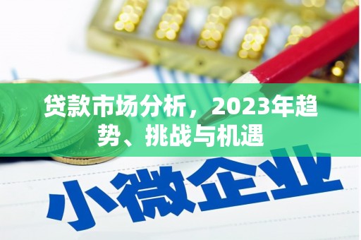 洪雅贷款市场分析，2023年趋势、挑战与机遇