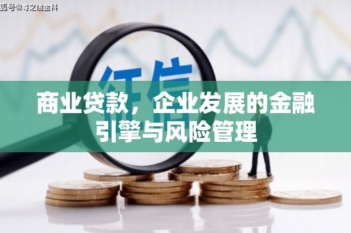 洪雅商业贷款，企业发展的金融引擎与风险管理