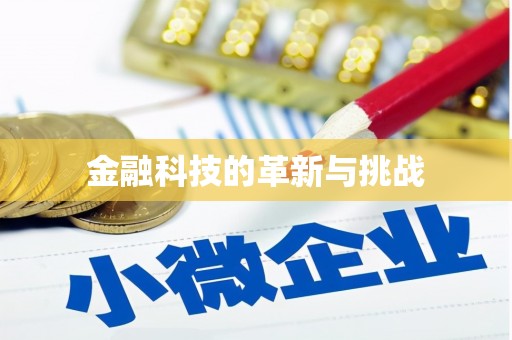 洪雅金融科技的革新与挑战