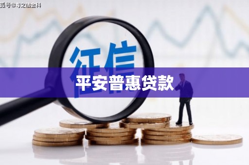 洪雅平安普惠贷款