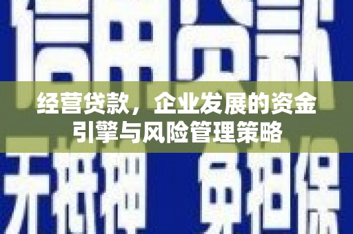洪雅经营贷款，企业发展的资金引擎与风险管理策略