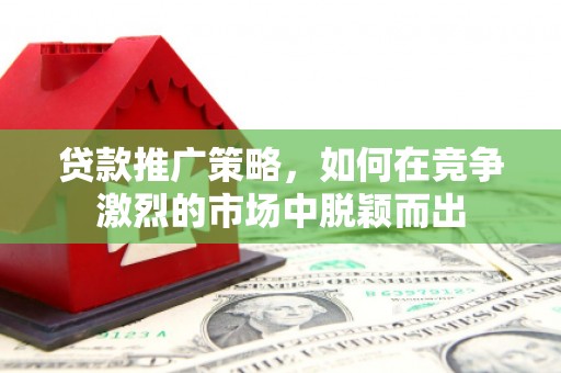 洪雅贷款推广策略，如何在竞争激烈的市场中脱颖而出