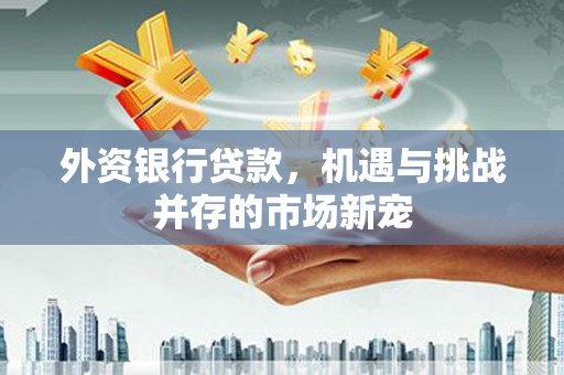 洪雅外资银行贷款，机遇与挑战并存的市场新宠
