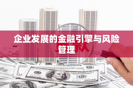 洪雅企业发展的金融引擎与风险管理