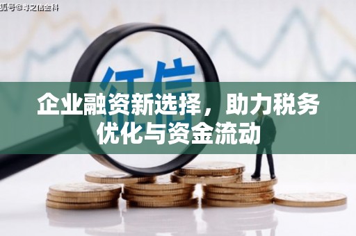 洪雅企业融资新选择，助力税务优化与资金流动