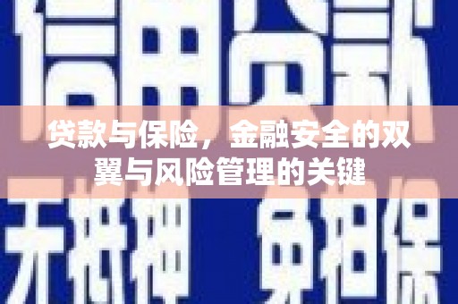 洪雅贷款与保险，金融安全的双翼与风险管理的关键