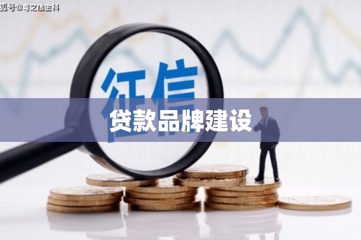 洪雅贷款品牌建设