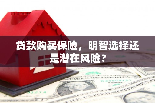 洪雅贷款购买保险，明智选择还是潜在风险？