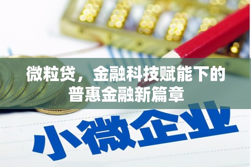 洪雅微粒贷，金融科技赋能下的普惠金融新篇章