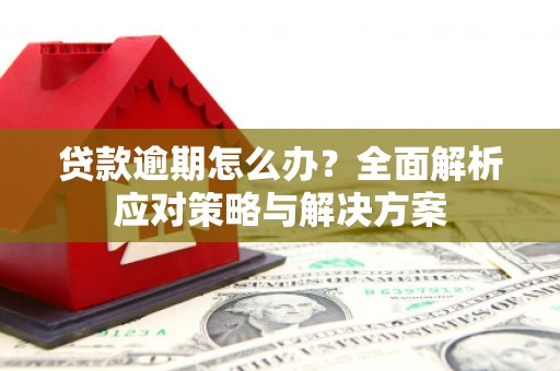 洪雅贷款逾期怎么办？全面解析应对策略与解决方案