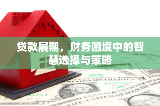 洪雅贷款展期，财务困境中的智慧选择与策略