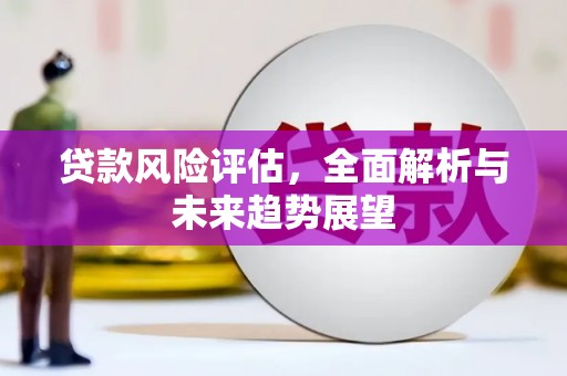 洪雅贷款风险评估，全面解析与未来趋势展望
