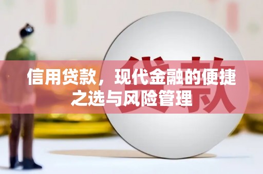 洪雅信用贷款，现代金融的便捷之选与风险管理