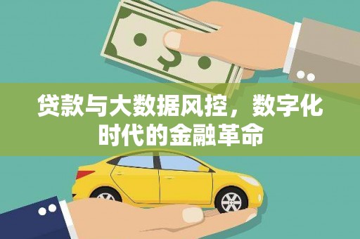 洪雅贷款与大数据风控，数字化时代的金融革命
