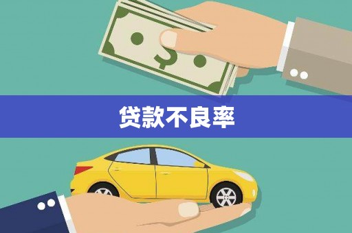 洪雅贷款不良率