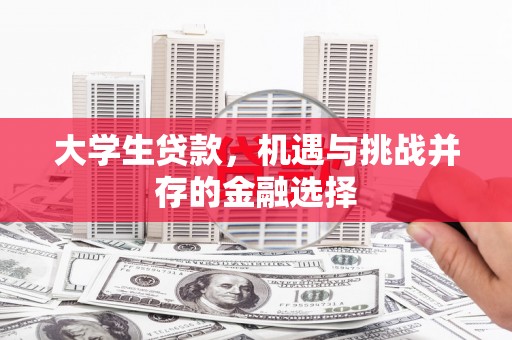 洪雅大学生贷款，机遇与挑战并存的金融选择