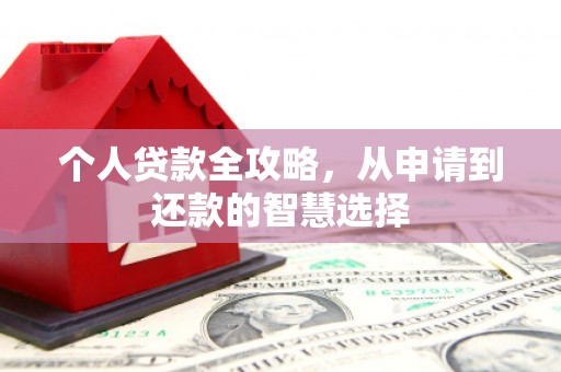 洪雅个人贷款全攻略，从申请到还款的智慧选择