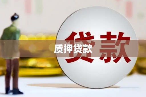 洪雅质押贷款