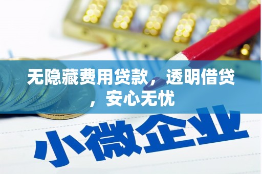 洪雅无隐藏费用贷款，透明借贷，安心无忧