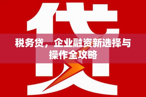 洪雅税务贷，企业融资新选择与操作全攻略