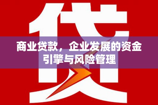 洪雅商业贷款，企业发展的资金引擎与风险管理