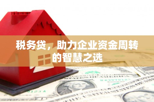 洪雅税务贷，助力企业资金周转的智慧之选