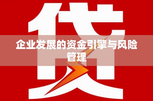 洪雅企业发展的资金引擎与风险管理
