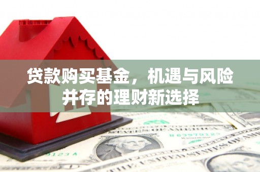 洪雅贷款购买基金，机遇与风险并存的理财新选择