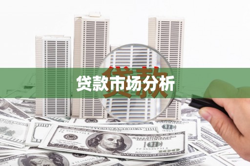 洪雅贷款市场分析