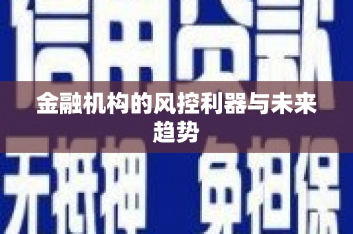 洪雅金融机构的风控利器与未来趋势