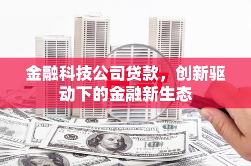 洪雅金融科技公司贷款，创新驱动下的金融新生态