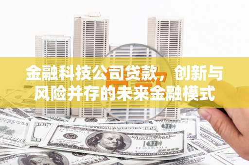 洪雅金融科技公司贷款，创新与风险并存的未来金融模式