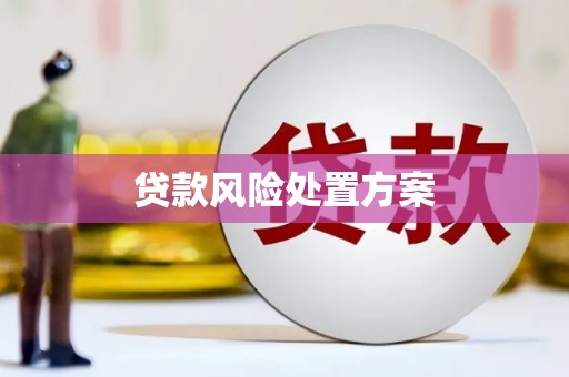 洪雅贷款风险处置方案