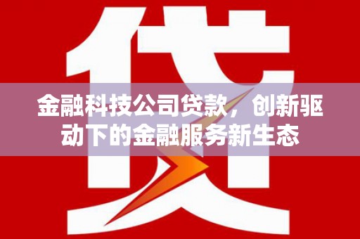 洪雅金融科技公司贷款，创新驱动下的金融服务新生态