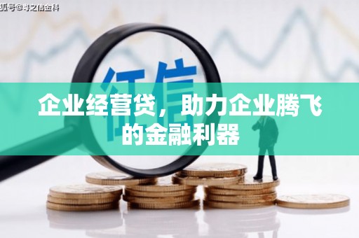 洪雅企业经营贷，助力企业腾飞的金融利器