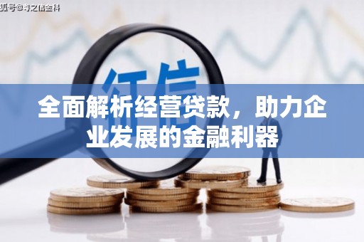 洪雅全面解析经营贷款，助力企业发展的金融利器