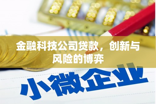 洪雅金融科技公司贷款，创新与风险的博弈