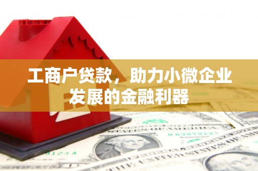 洪雅工商户贷款，助力小微企业发展的金融利器