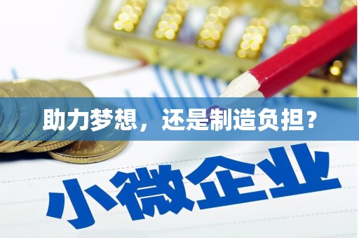 洪雅助力梦想，还是制造负担？