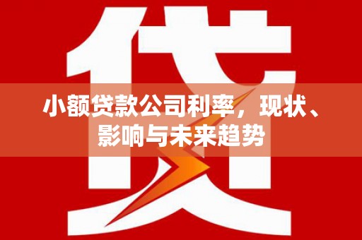 洪雅小额贷款公司利率，现状、影响与未来趋势