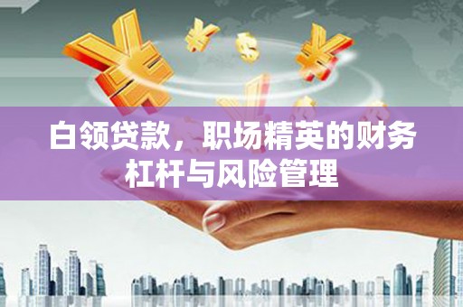 洪雅白领贷款，职场精英的财务杠杆与风险管理