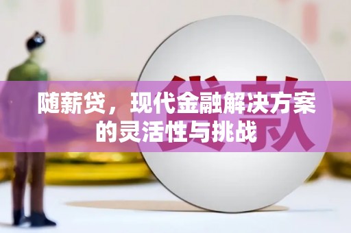 洪雅随薪贷，现代金融解决方案的灵活性与挑战