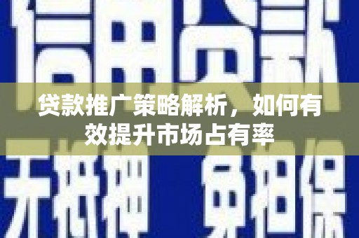 洪雅贷款推广策略解析，如何有效提升市场占有率