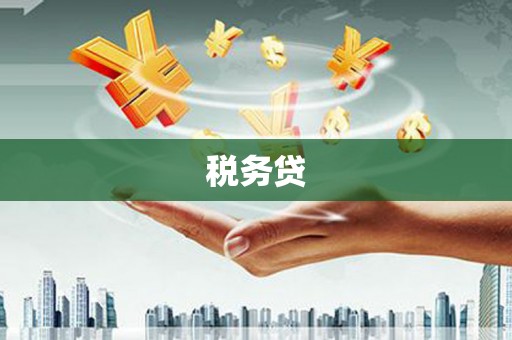 洪雅税务贷