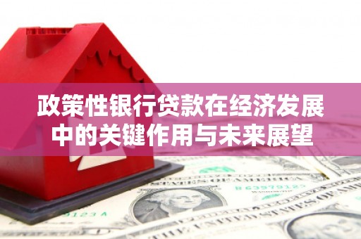 洪雅政策性银行贷款在经济发展中的关键作用与未来展望